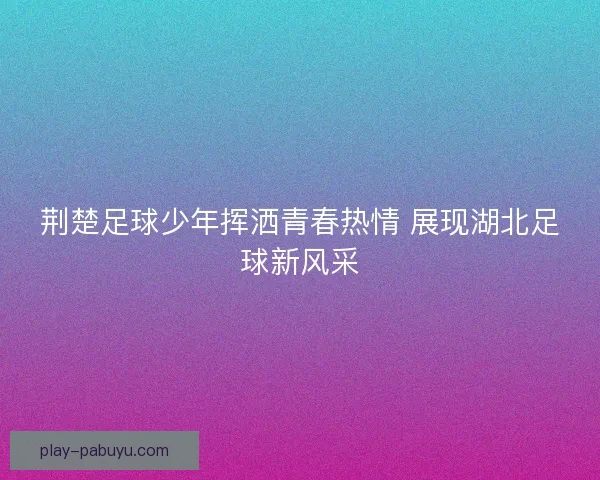 荆楚足球少年挥洒青春热情 展现湖北足球新风采